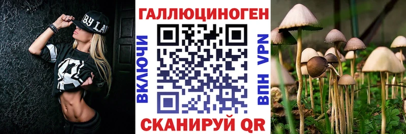 Псилоцибиновые грибы Psilocybe  Апатиты 