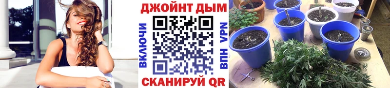 Канабис MAZAR  blacksprut маркетплейс  Апатиты 